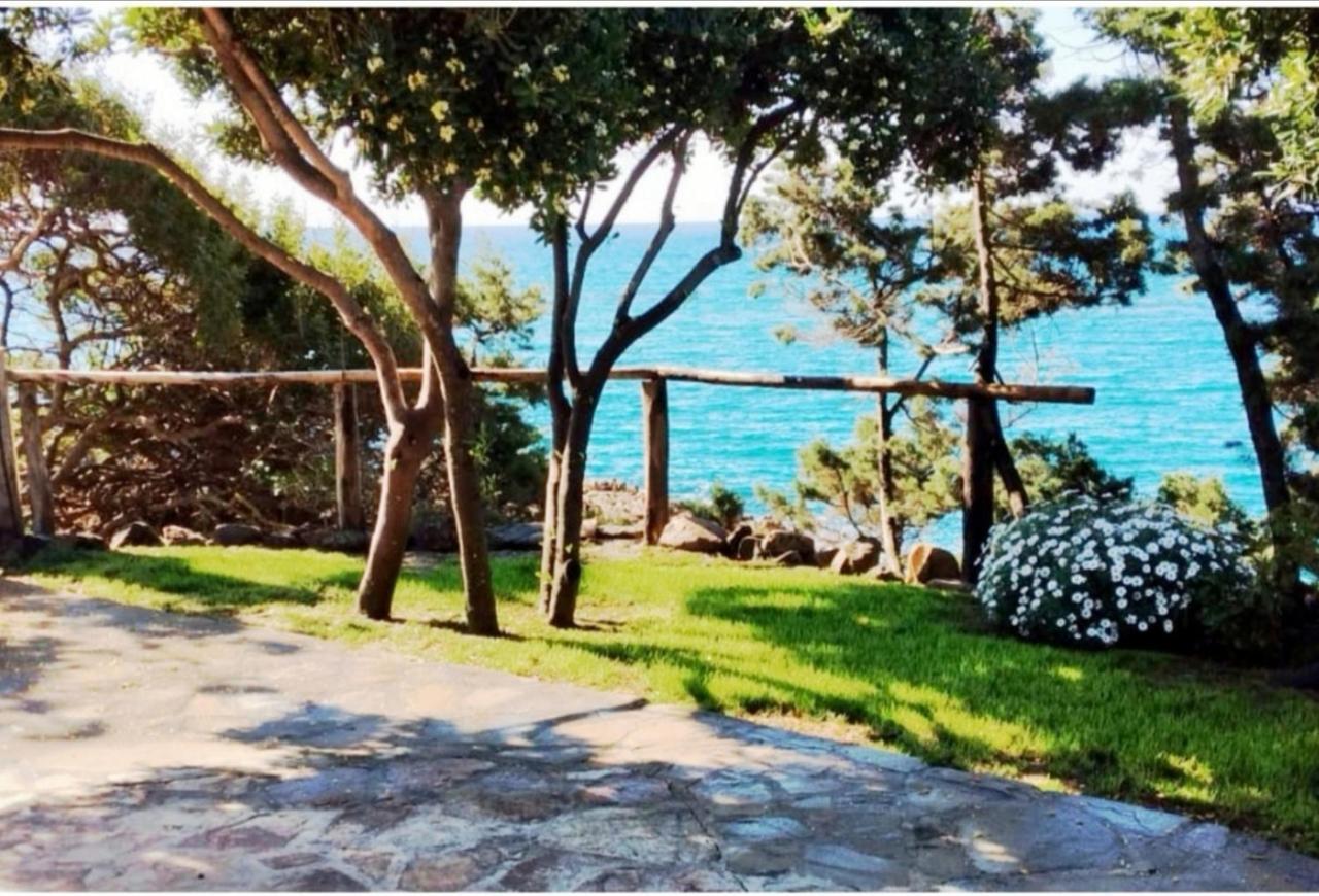קאלה ליברוטו Villa Vera Trifamigliare Con Ingresso Diretto 20 Mt Al Mare Clima Wi-Fi Bbq מראה חיצוני תמונה
